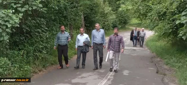 برگزاری پیاده روی صبحگاهی کارکنان 2