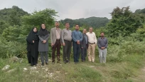 برگزاری پیاده روی صبحگاهی کارکنان