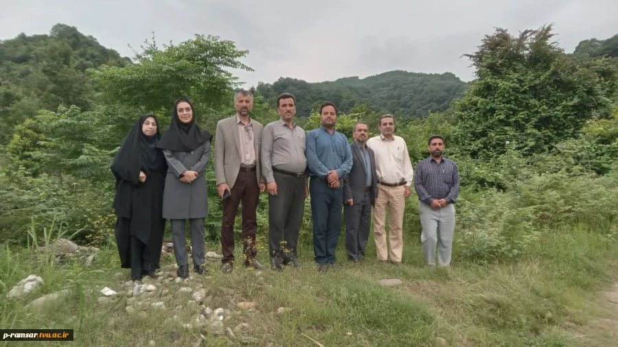 برگزاری پیاده روی صبحگاهی کارکنان 2
