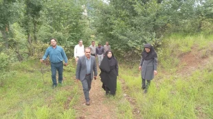 برگزاری پیاده روی صبحگاهی کارکنان 3