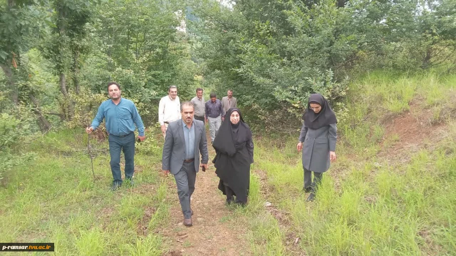 برگزاری پیاده روی صبحگاهی کارکنان 3