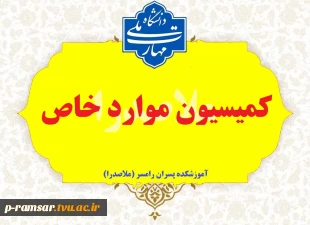 کمیسیون موارد خاص 3